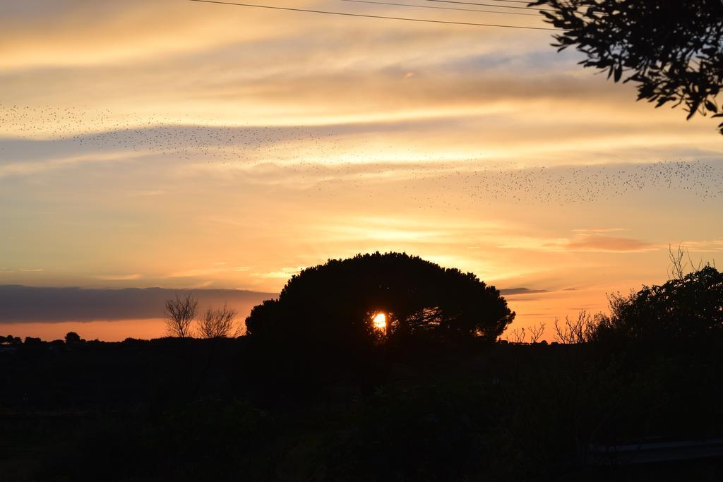 B&B Kolymbetra Agrigento Buitenkant foto
